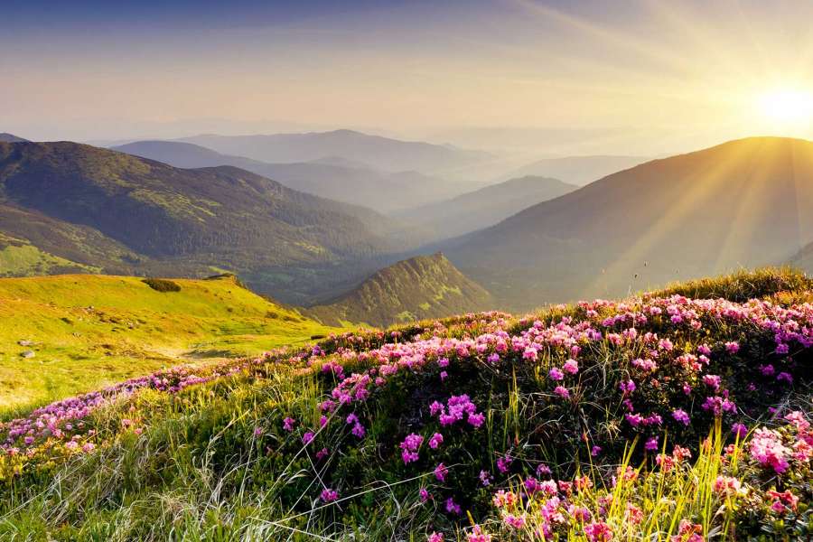 słowacja wycieczki z zakopanego