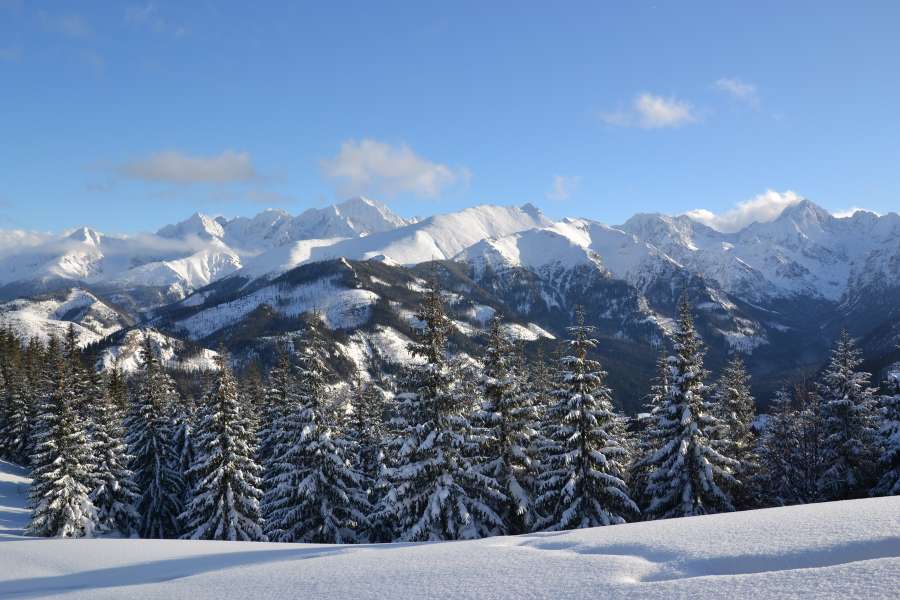 wycieczki z zakopanego na słowację